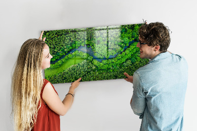 Quadro magnético de parede Rio na floresta
