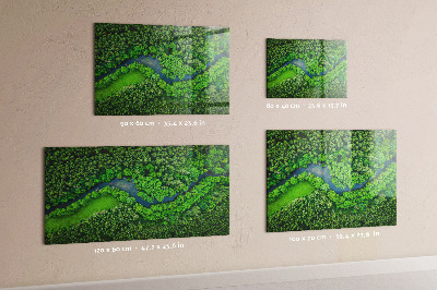 Quadro magnético de parede Rio na floresta