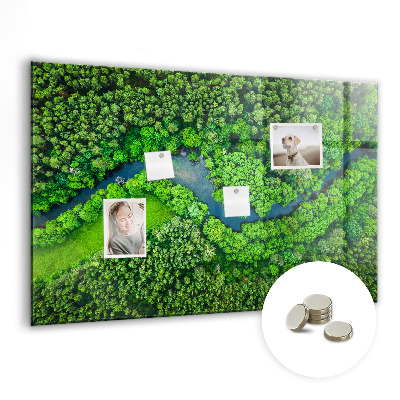 Quadro magnético de parede Rio na floresta