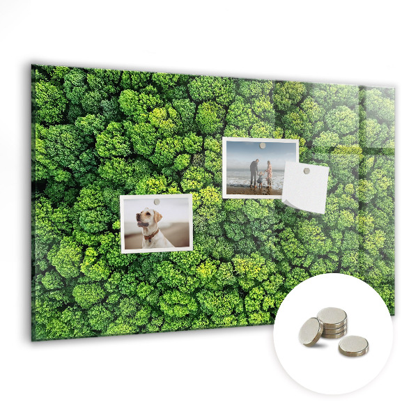 Quadro magnético decorativo Floresta vista de um pássaro