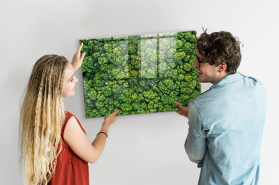 Quadro magnético decorativo Floresta vista de um pássaro