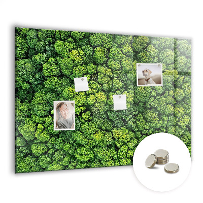 Quadro magnético decorativo Floresta vista de um pássaro