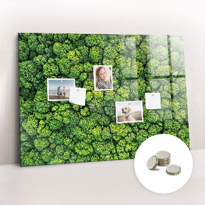 Quadro magnético decorativo Floresta vista de um pássaro