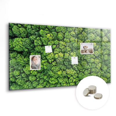 Quadro magnético decorativo Floresta vista de um pássaro
