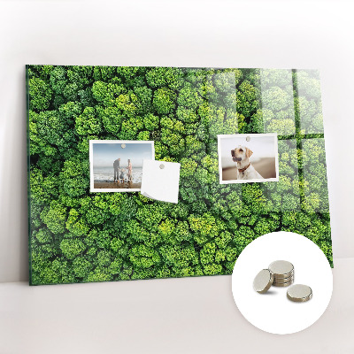 Quadro magnético decorativo Floresta vista de um pássaro