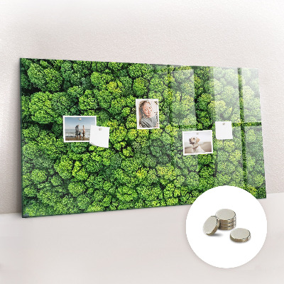 Quadro magnético decorativo Floresta vista de um pássaro