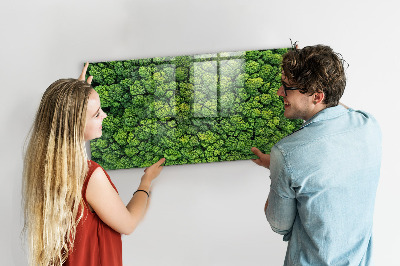 Quadro magnético decorativo Floresta vista de um pássaro