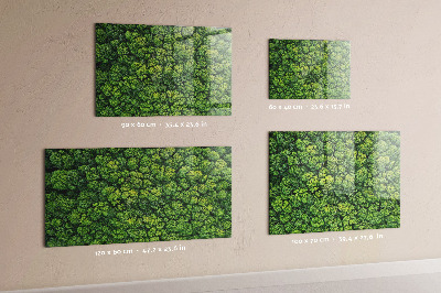 Quadro magnético decorativo Floresta vista de um pássaro