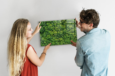 Quadro magnético decorativo Floresta vista de um pássaro