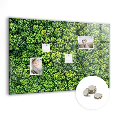 Quadro magnético decorativo Floresta vista de um pássaro