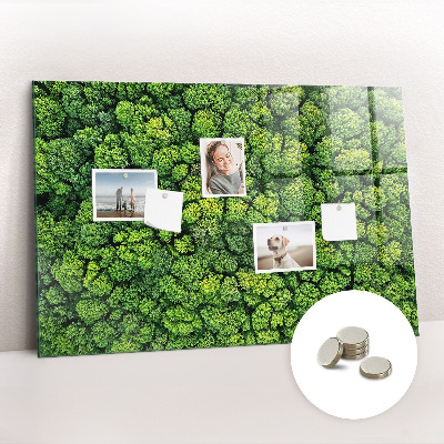 Quadro magnético decorativo Floresta vista de um pássaro
