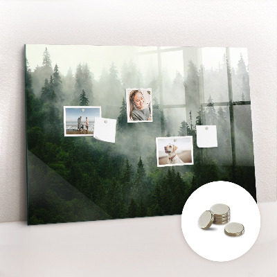 Quadro magnético de parede Floresta enevoada