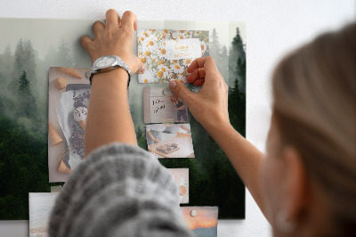 Quadro magnético de parede Floresta enevoada
