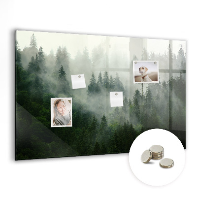 Quadro magnético de parede Floresta enevoada