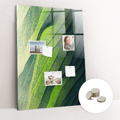 Quadro magnético Linhas paisagem natureza