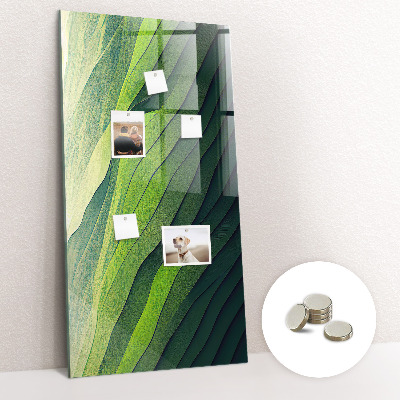 Quadro magnético Linhas paisagem natureza