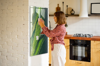 Quadro magnético Linhas paisagem natureza