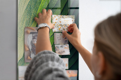 Quadro magnético Linhas paisagem natureza