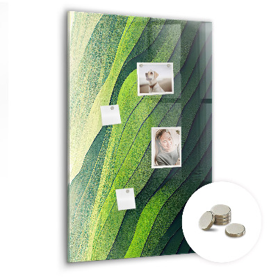 Quadro magnético Linhas paisagem natureza