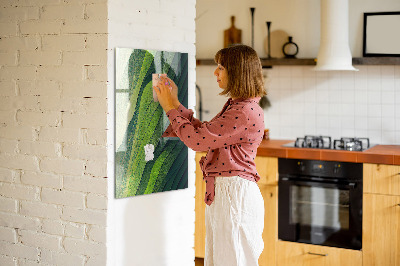 Quadro magnético Linhas paisagem natureza