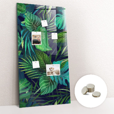 Quadro magnético Folhas grandes exóticas