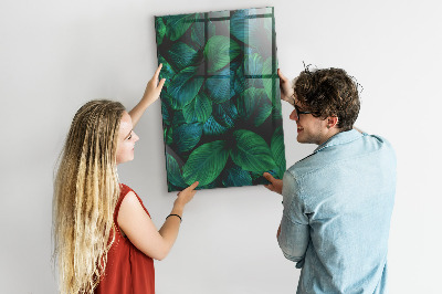 Lousa de vidro magnética Grandes folhas tropicais
