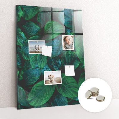 Lousa de vidro magnética Grandes folhas tropicais