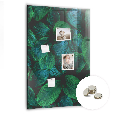 Lousa de vidro magnética Grandes folhas tropicais