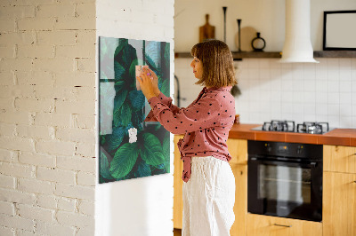 Lousa de vidro magnética Grandes folhas tropicais