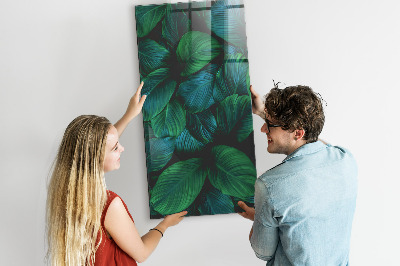 Lousa de vidro magnética Grandes folhas tropicais