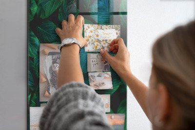 Lousa de vidro magnética Grandes folhas tropicais