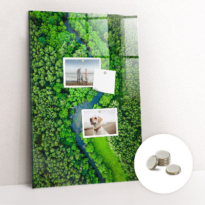 Quadro magnético decorativo Rio na floresta