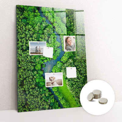 Quadro magnético decorativo Rio na floresta