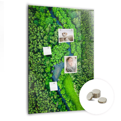 Quadro magnético decorativo Rio na floresta
