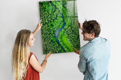 Quadro magnético decorativo Rio na floresta