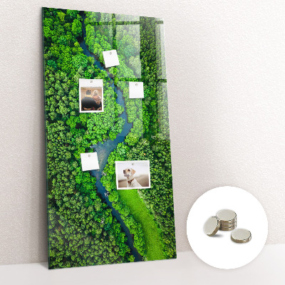 Quadro magnético decorativo Rio na floresta