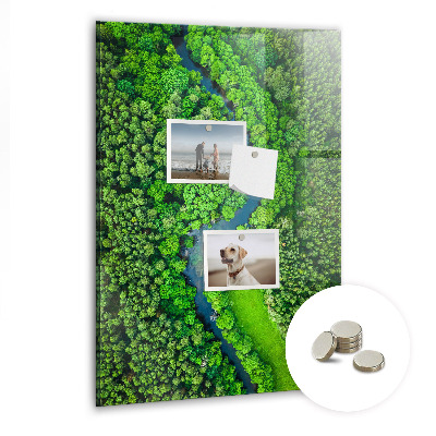 Quadro magnético decorativo Rio na floresta