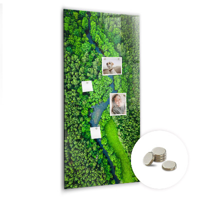 Quadro magnético decorativo Rio na floresta