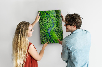 Quadro magnético decorativo Rio na floresta