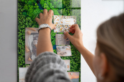 Quadro magnético decorativo Rio na floresta