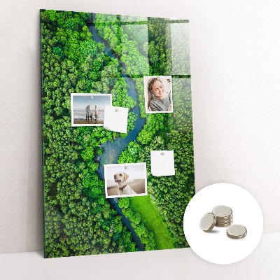 Quadro magnético decorativo Rio na floresta