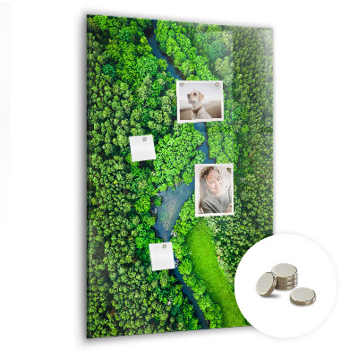 Quadro magnético decorativo Rio na floresta