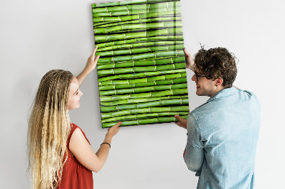 Lousa de vidro magnética Parede de bambu