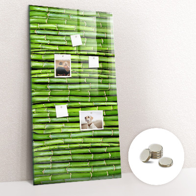 Lousa de vidro magnética Parede de bambu