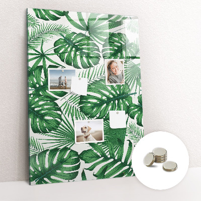 Quadro magnético Folhas da planta Monstera