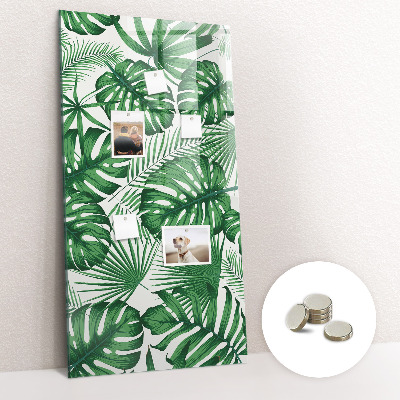 Quadro magnético Folhas da planta Monstera