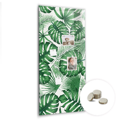 Quadro magnético Folhas da planta Monstera