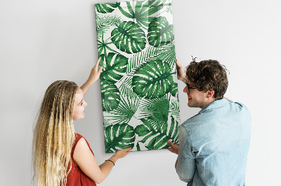 Quadro magnético Folhas da planta Monstera