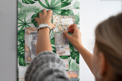 Quadro magnético Folhas da planta Monstera