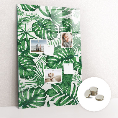 Quadro magnético Folhas da planta Monstera